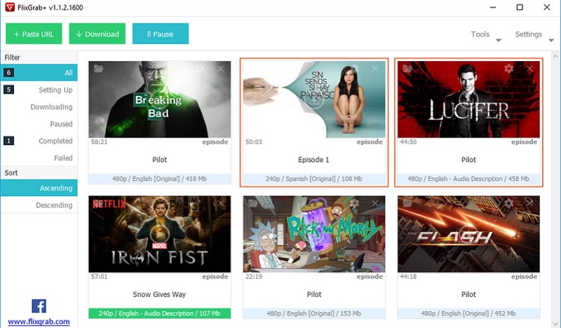 FlixGrab Review 2025: Ist FlixGrab wirklich kostenlos?