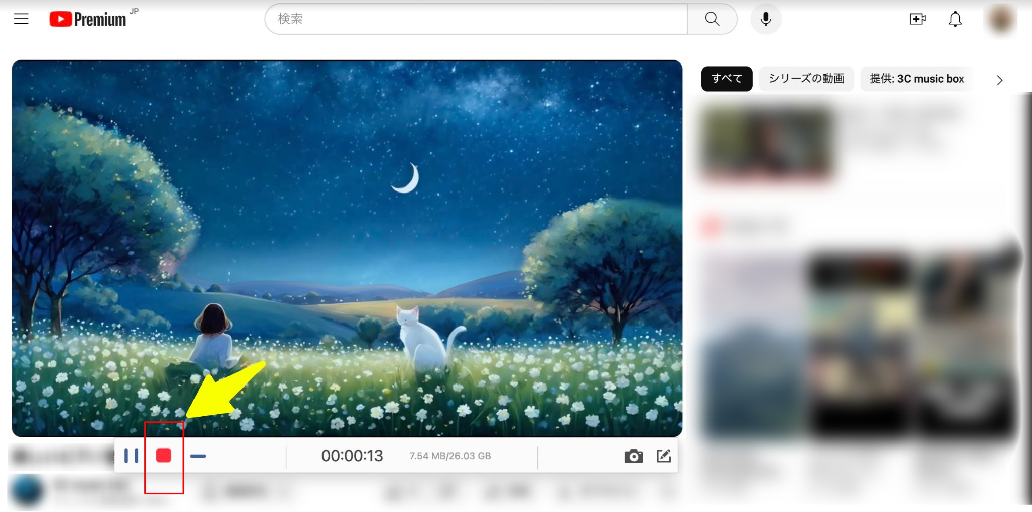 4Videosoft 画面キャプチャー
