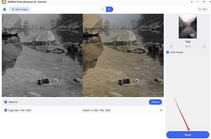 Colorize black and white photos