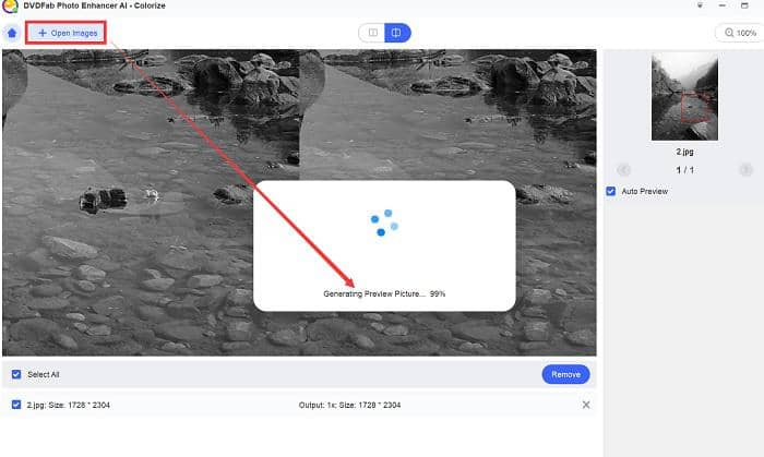 Colorize black and white photos