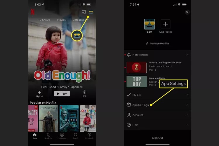 How to Improve Video Quality on Netflix