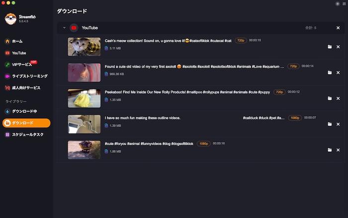 tiktok downloader