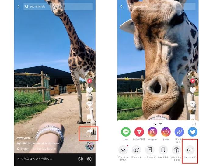 tiktok 保存
