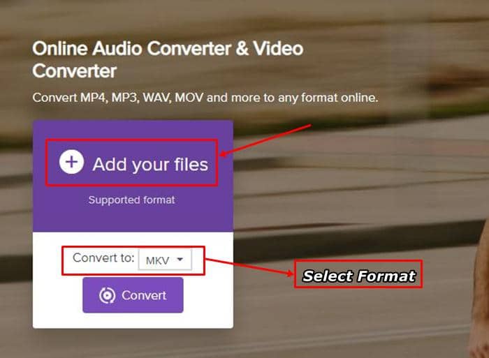 Comment télécharger et convertir les vidéos YouTube en MKV:Partie 2 : Comment télécharger des vidéos YouTube sur MKV avec des outils en ligne gratuits