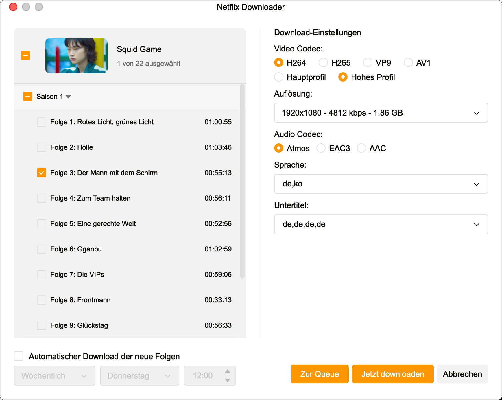 StreamFab Netflix-Downloader Download-Einstellungen mit Auflösung und Audio-Codec Auswahl