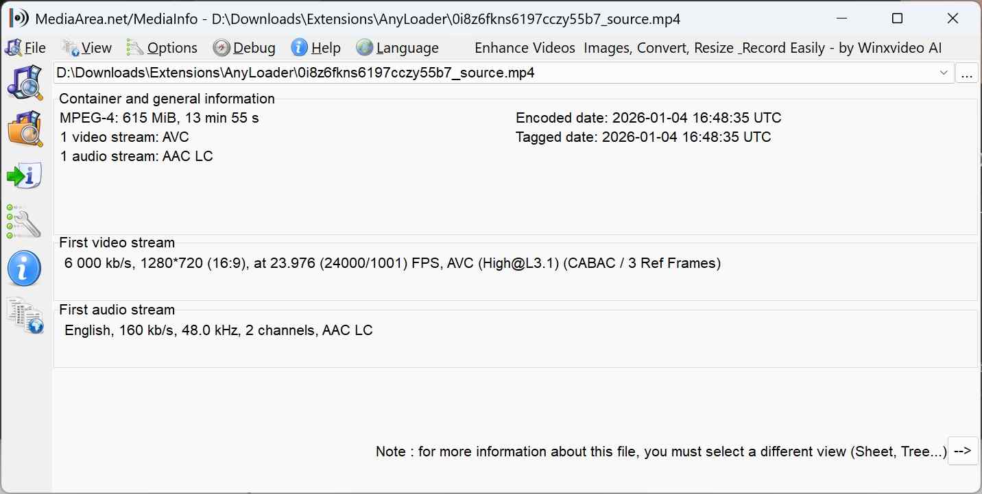 Übersicht über die Benutzeroberfläche und Qualität der besten OnlyFans-Video-Download-Chrome-Erweiterung anyloader: free onlyfans downloader