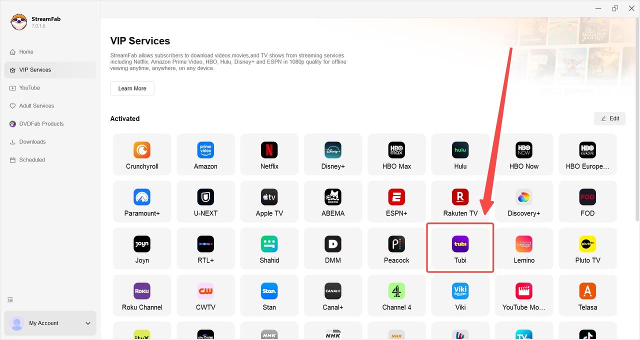 StreamFab Tubi Downloader - Selecting VIP Services - Launching Tubi Platform