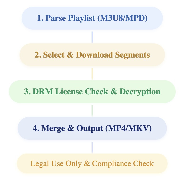 StreamFab Download & Decryption Workflow