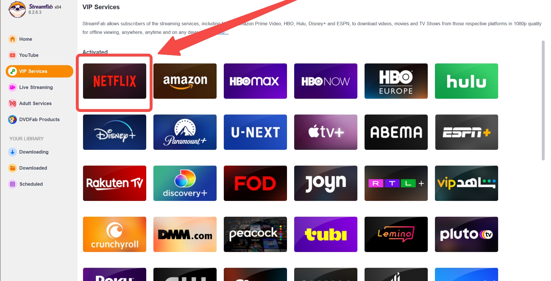 how to download Movies on Netflix on Macbook: streamfab