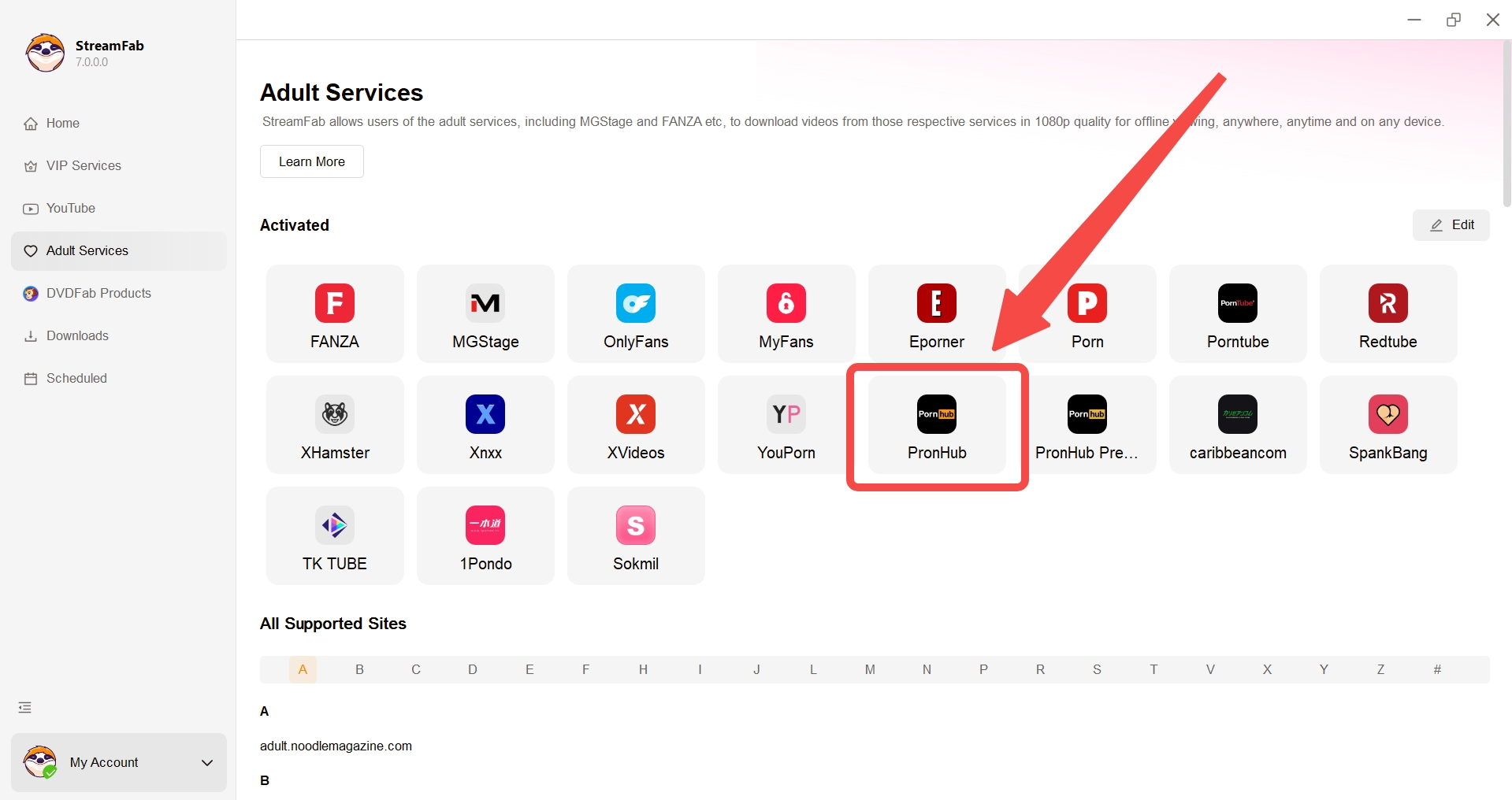 how to download pornhub videos