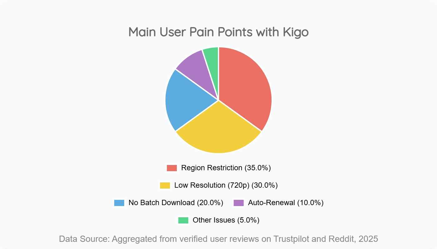 main user pain points with kigo disney plus downloader