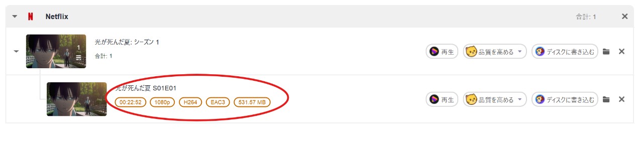 Streamfab Netflix 下載器的評價
