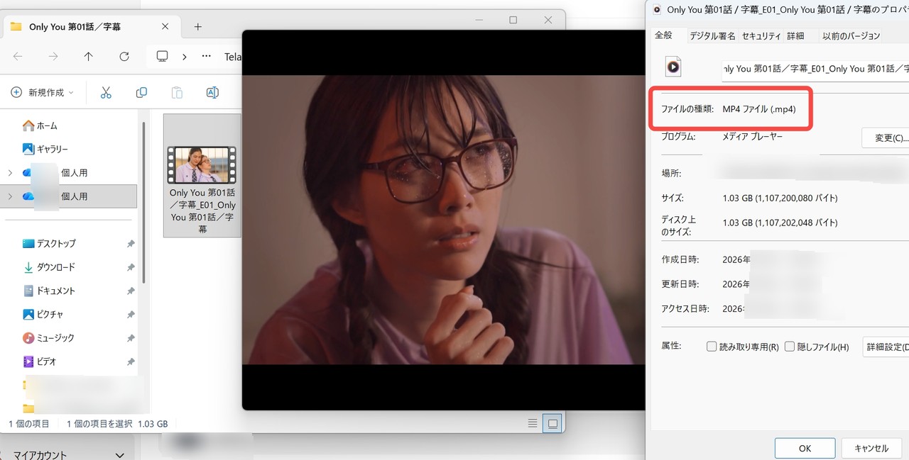 telasa streamfabダウンロード